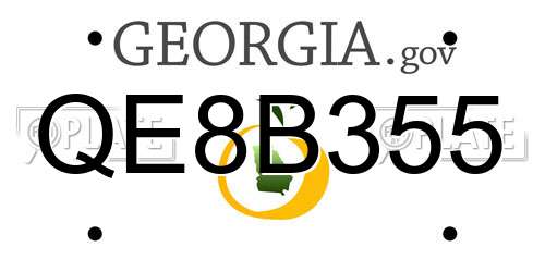 QE8B355 Georgia License Plate