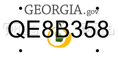 QE8B358 Georgia License Plate