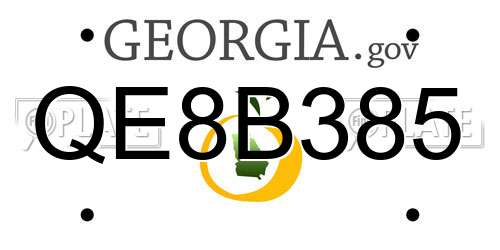 QE8B385 Georgia License Plate