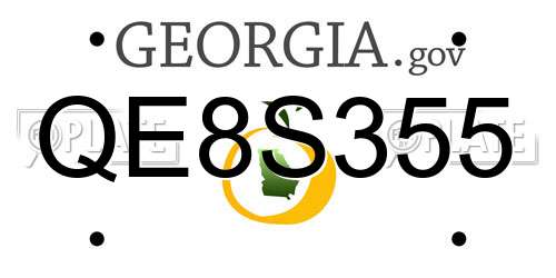QE8S355 Georgia License Plate