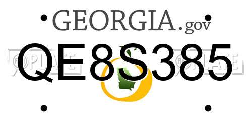 QE8S385 Georgia License Plate