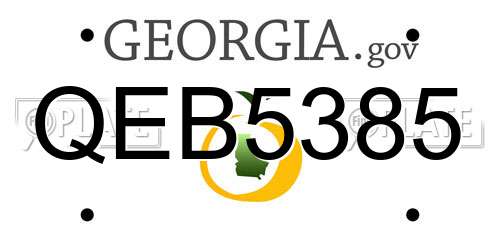 QEB5385 Georgia License Plate