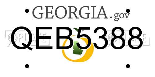 QEB5388 Georgia License Plate