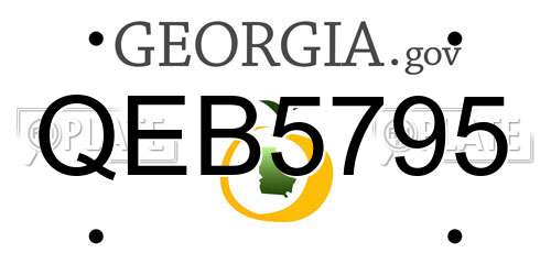 QEB5795 Georgia License Plate