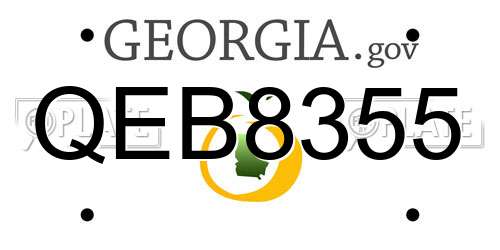 QEB8355 Georgia License Plate