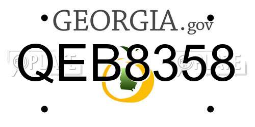 QEB8358 Georgia License Plate