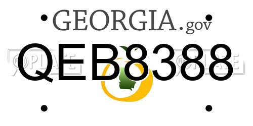 QEB8388 Georgia License Plate