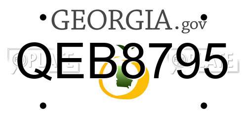 QEB8795 Georgia License Plate