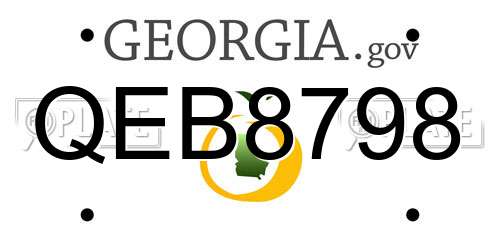 QEB8798 Georgia License Plate