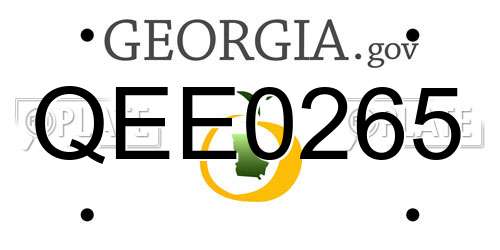 QEE0265 Georgia License Plate