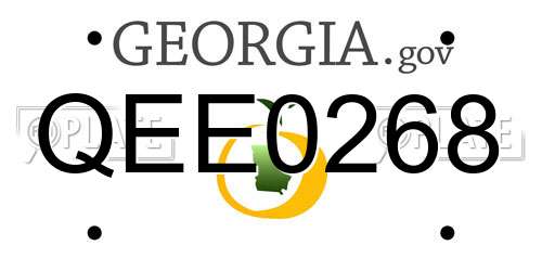 QEE0268 Georgia License Plate