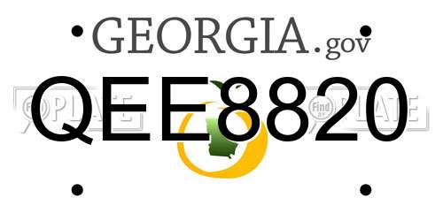 QEE8820 Georgia License Plate