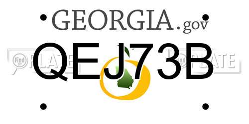 QEJ73B Georgia License Plate