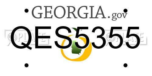 QES5355 Georgia License Plate