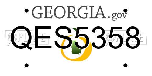QES5358 Georgia License Plate