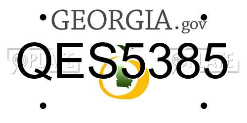 QES5385 Georgia License Plate