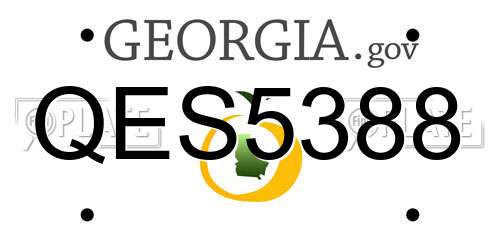 QES5388 Georgia License Plate