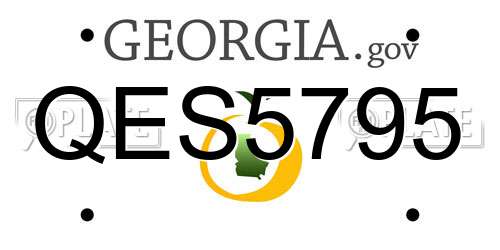QES5795 Georgia License Plate