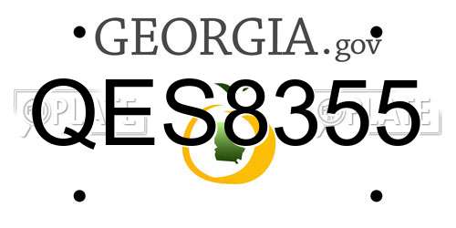 QES8355 Georgia License Plate