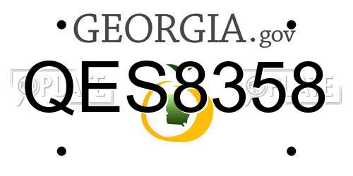 QES8358 Georgia License Plate