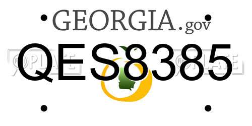 QES8385 Georgia License Plate