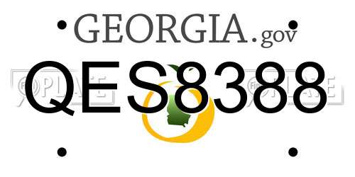 QES8388 Georgia License Plate