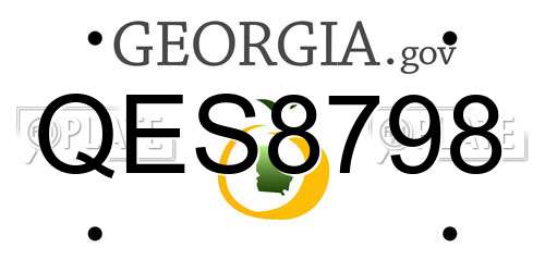QES8798 Georgia License Plate