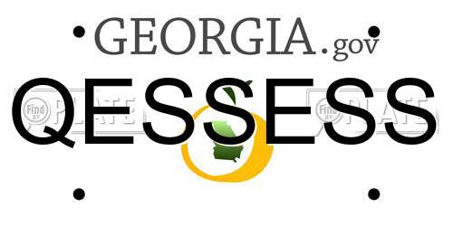 QESSESS Georgia License Plate