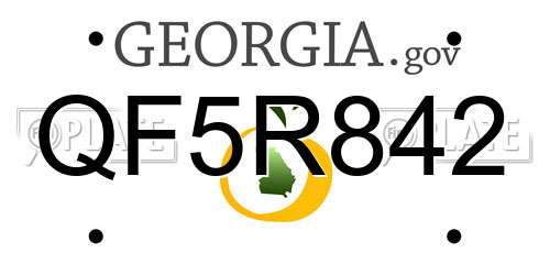 QF5R842 Georgia License Plate