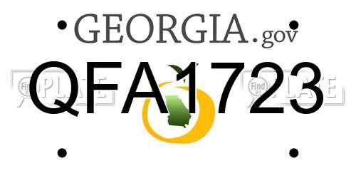 QFA1723 Georgia License Plate