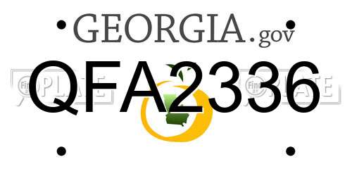 QFA2336 Georgia License Plate
