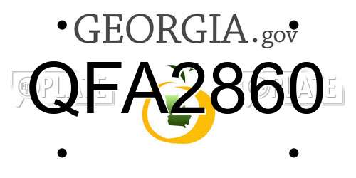 QFA2860 Georgia License Plate