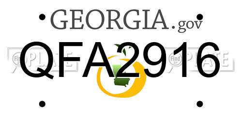 QFA2916 Georgia License Plate