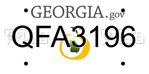 QFA3196 Georgia License Plate