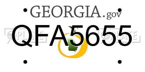 QFA5655 Georgia License Plate