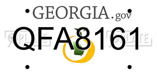 QFA8161 Georgia License Plate