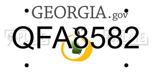 QFA8582 Georgia License Plate