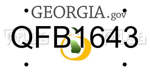QFB1643 Georgia License Plate