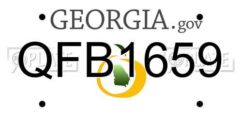 QFB1659 Georgia License Plate
