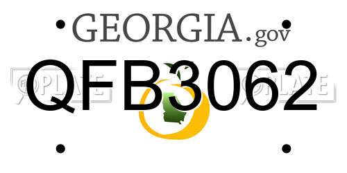 QFB3062 Georgia License Plate
