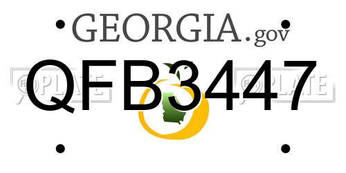 QFB3447 Georgia License Plate