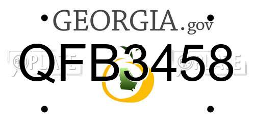 QFB3458 Georgia License Plate