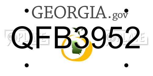 QFB3952 Georgia License Plate
