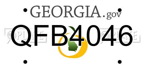 QFB4046 Georgia License Plate