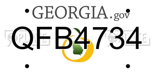 QFB4734 Georgia License Plate