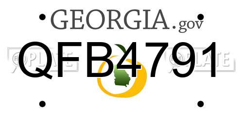 QFB4791 Georgia License Plate