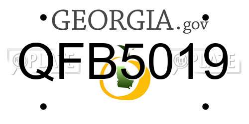 QFB5019 Georgia License Plate