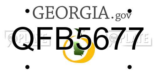 QFB5677 Georgia License Plate