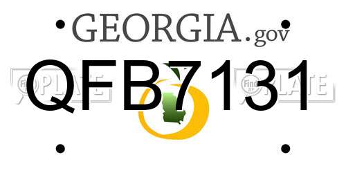 QFB7131 Georgia License Plate