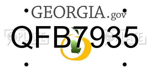 QFB7935 Georgia License Plate